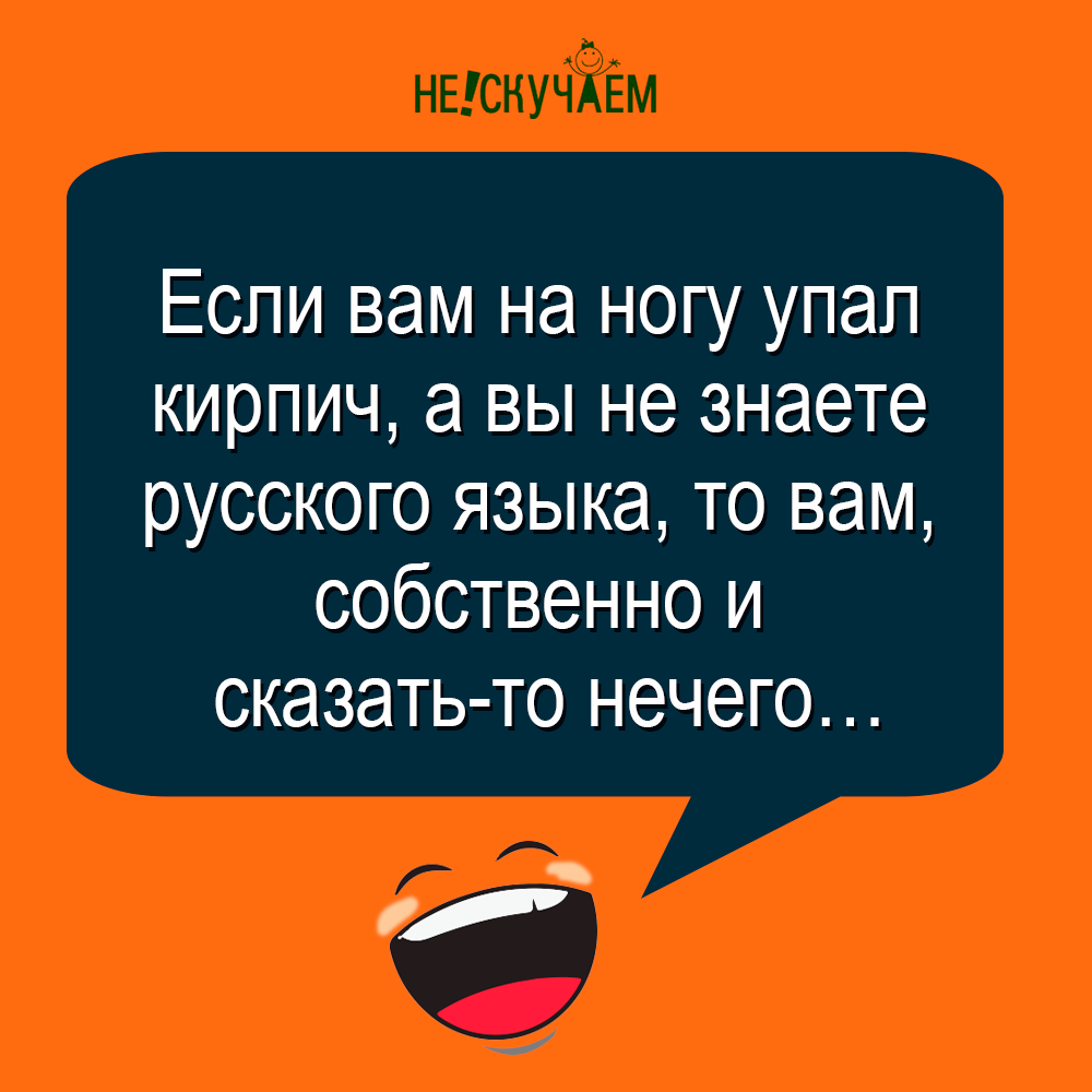 Для вас в коллекция смешных анекдотов от Нескучаем | Нескучаем Смешные  анекдоты | Дзен