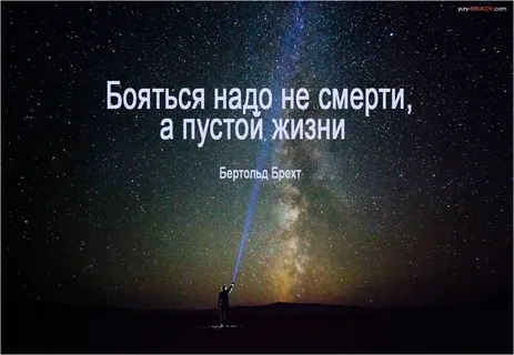 коллаж. неизвестный автор (картинки яндекс)