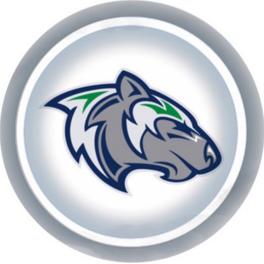 Новый логотип Горняка