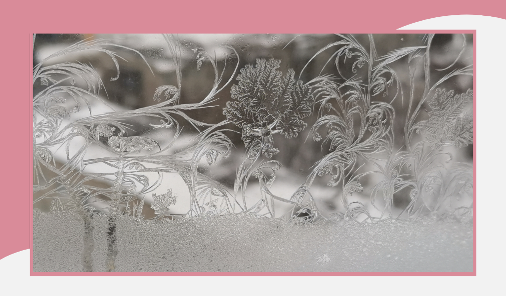 Фотография автора