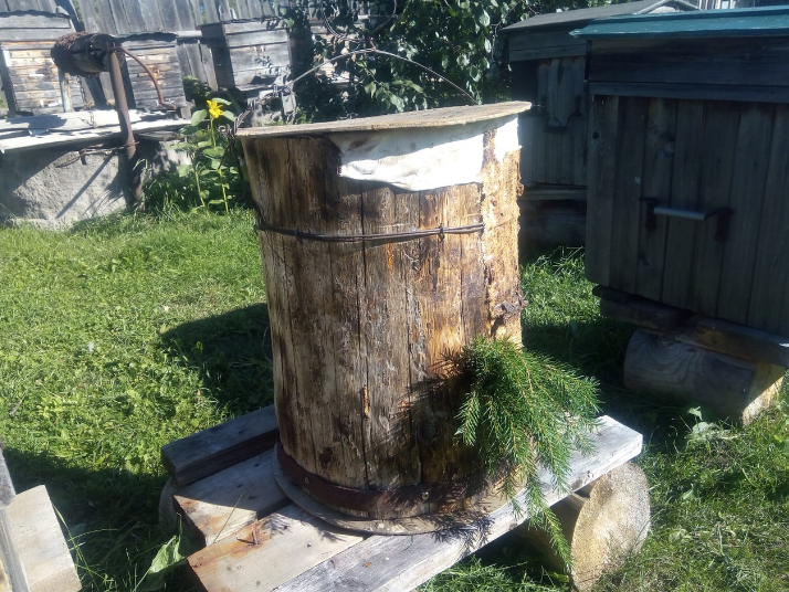 Ловушка с роем