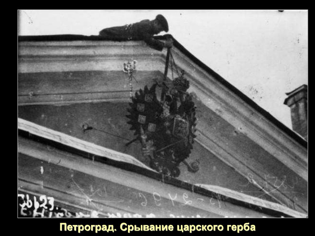 Фото из открытого доступа. 