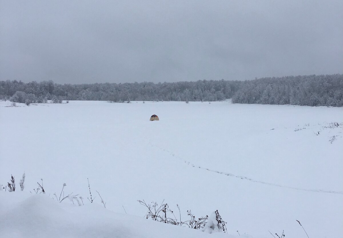 Напоминает кадр из Ералаша: «Здесь рыбы нет!»