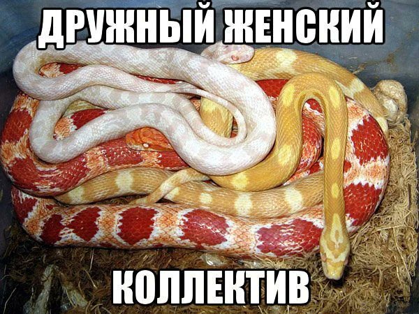                                                                            Яндекс источник
