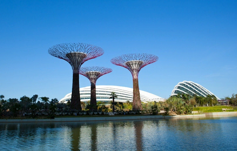 Gardens by the Bay