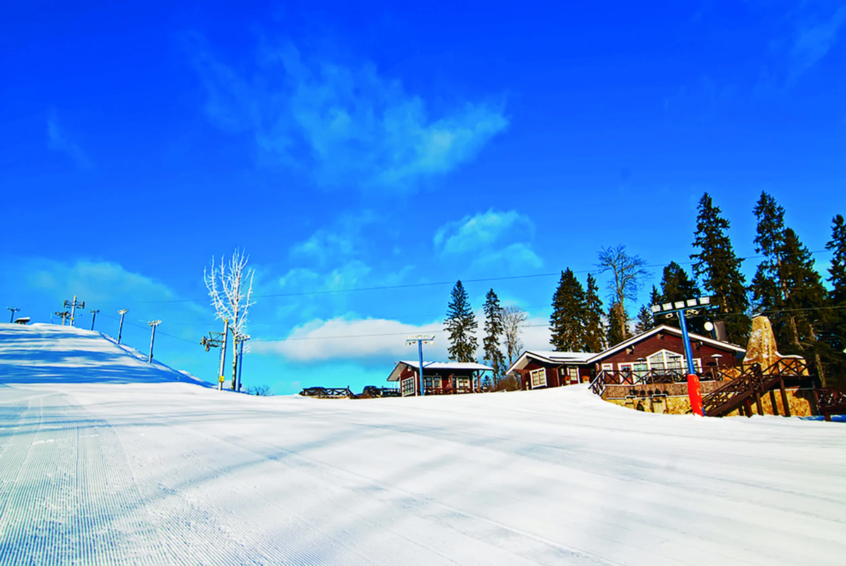 Целеево зимой