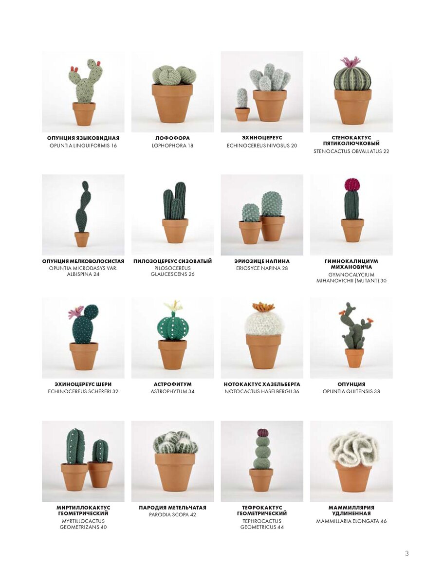 16 моделей кактусов из книги