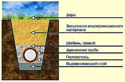 Вы точно человек?