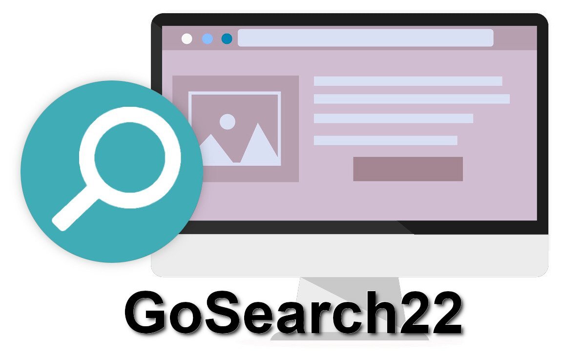 GoSearch22