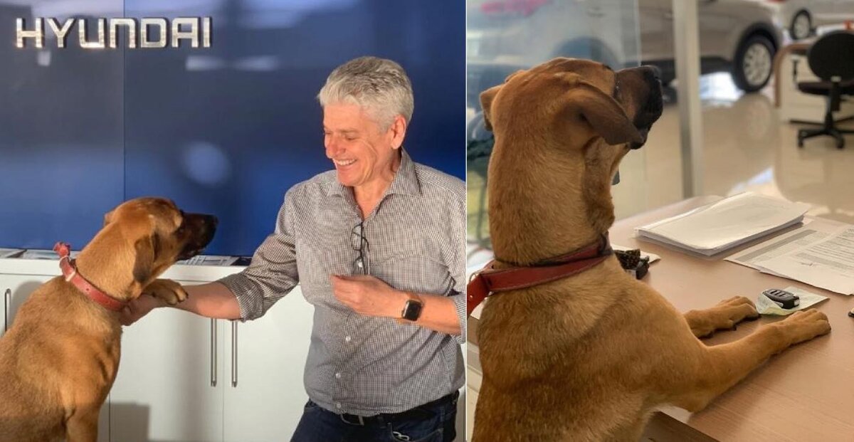 Тусон Прайм принят на работу
Здесь и далее источник фото: Instagram/tucson_prime