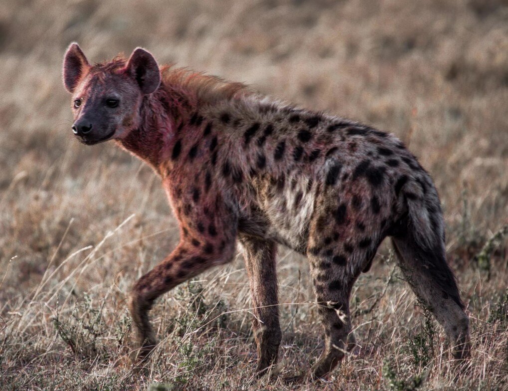 Фото в свободном доступе. Взято из сети Яндекс