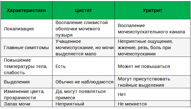 Цистит и уретрит у женщин в чем разница — Статьи об онкологии