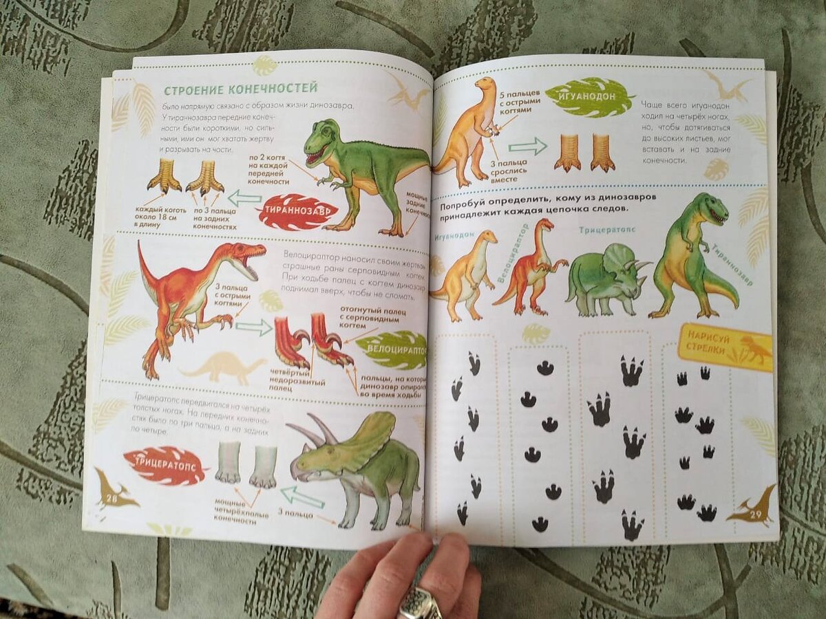 Цветовая гамма не слишком яркая, картинки достаточно реалистичные, но без излишнего натурализма. 