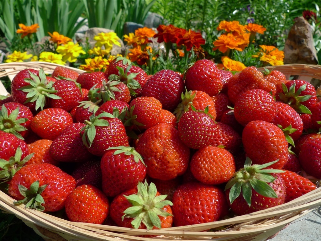 ru.best-wallpaper.net