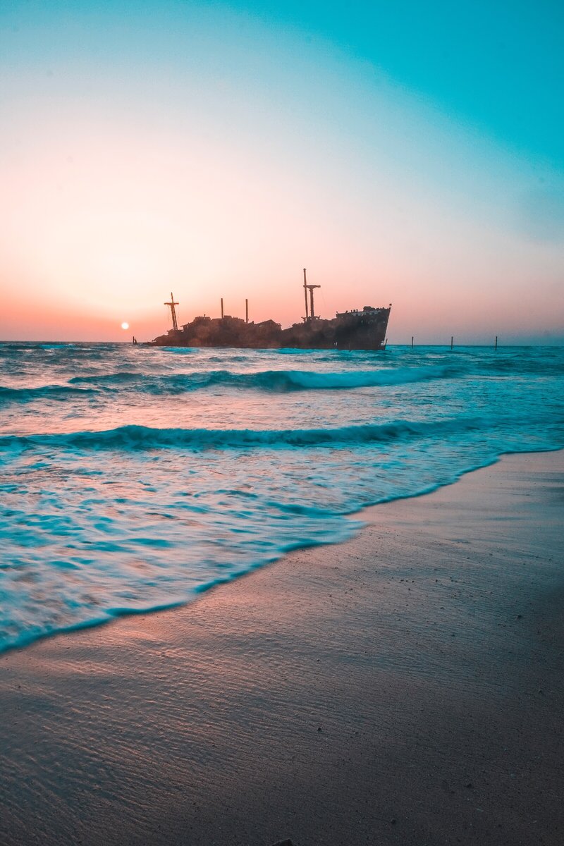 Photo by Sam Moqadam on Unsplash