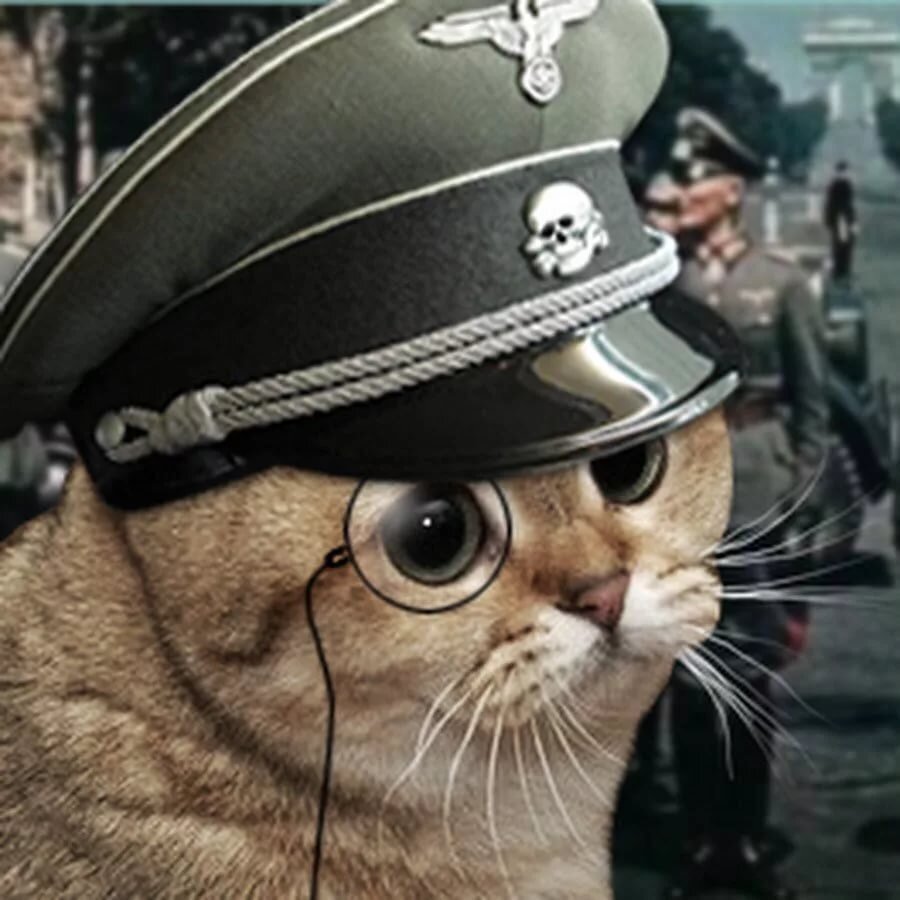 Автор знает что картинка не качественная, но очень подходит.