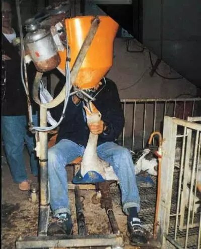 Французская идентичность через гуся