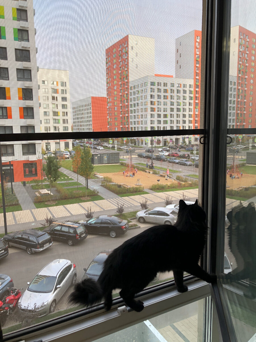 Фотографии из личного архива.