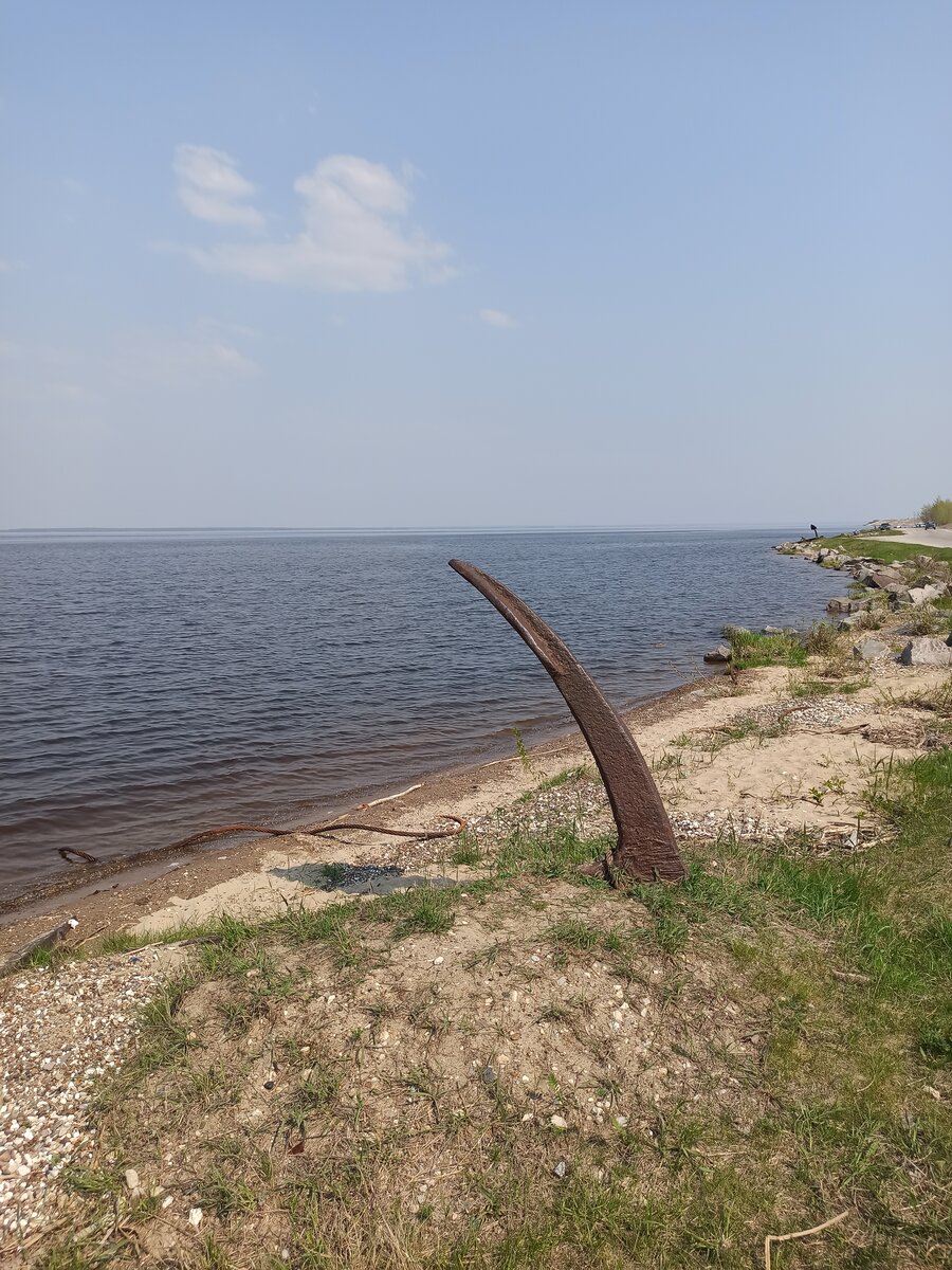 Берег Волги 