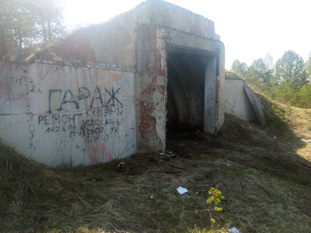 Бетонный бункер в лесу