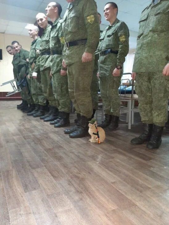 солдаты в строю!