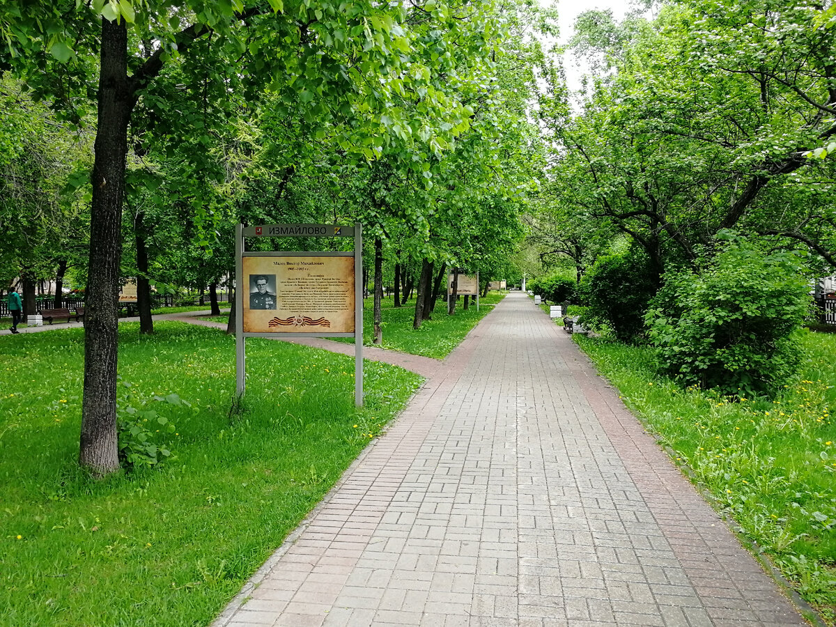 Сиреневый бульвар