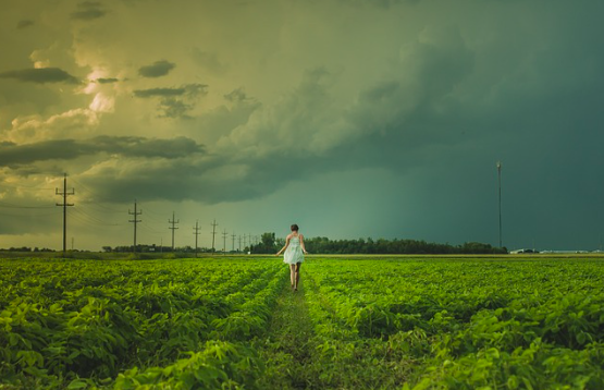 6 законов жизни от писательницы Лиз Бурбо, фото www.pixabay.com