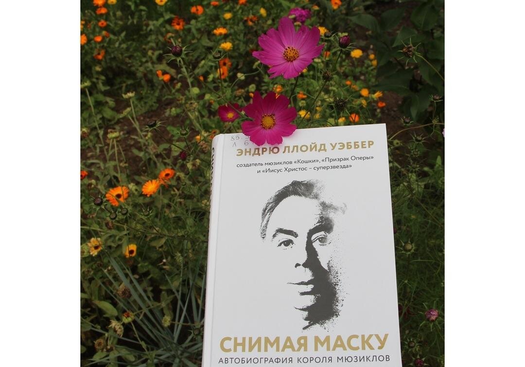 Книга без суперобложки; фото - мое 