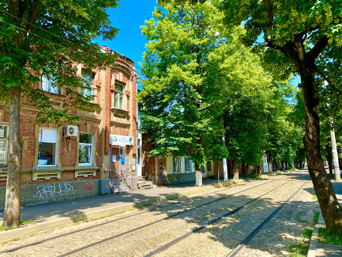 Спустя год впервые взглянула на Краснодар глазами не туриста. Уютные уголки  старого центра и аптека, которой более 100 лет | НА СВОИХ ДВОИХ - Алёна И  Женя | Дзен