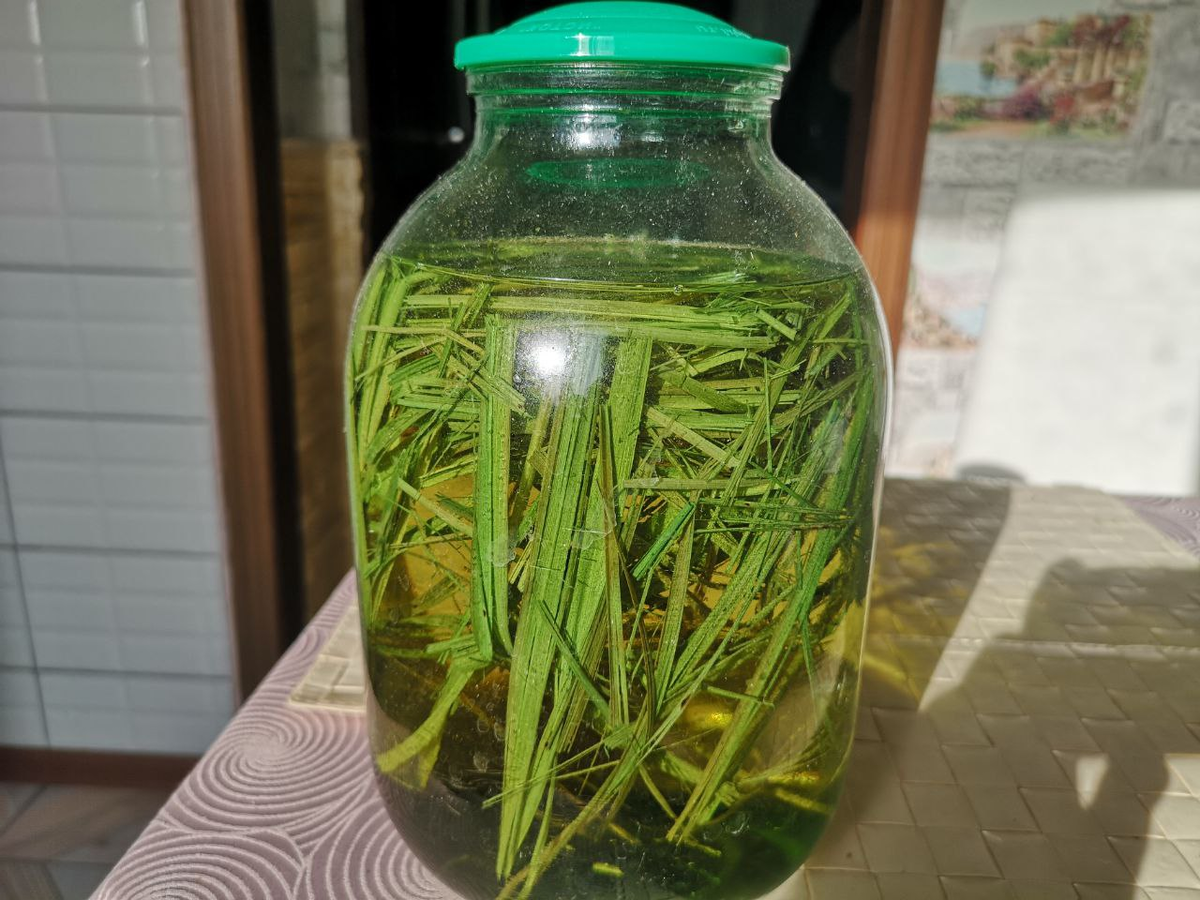 зубровка самогон.