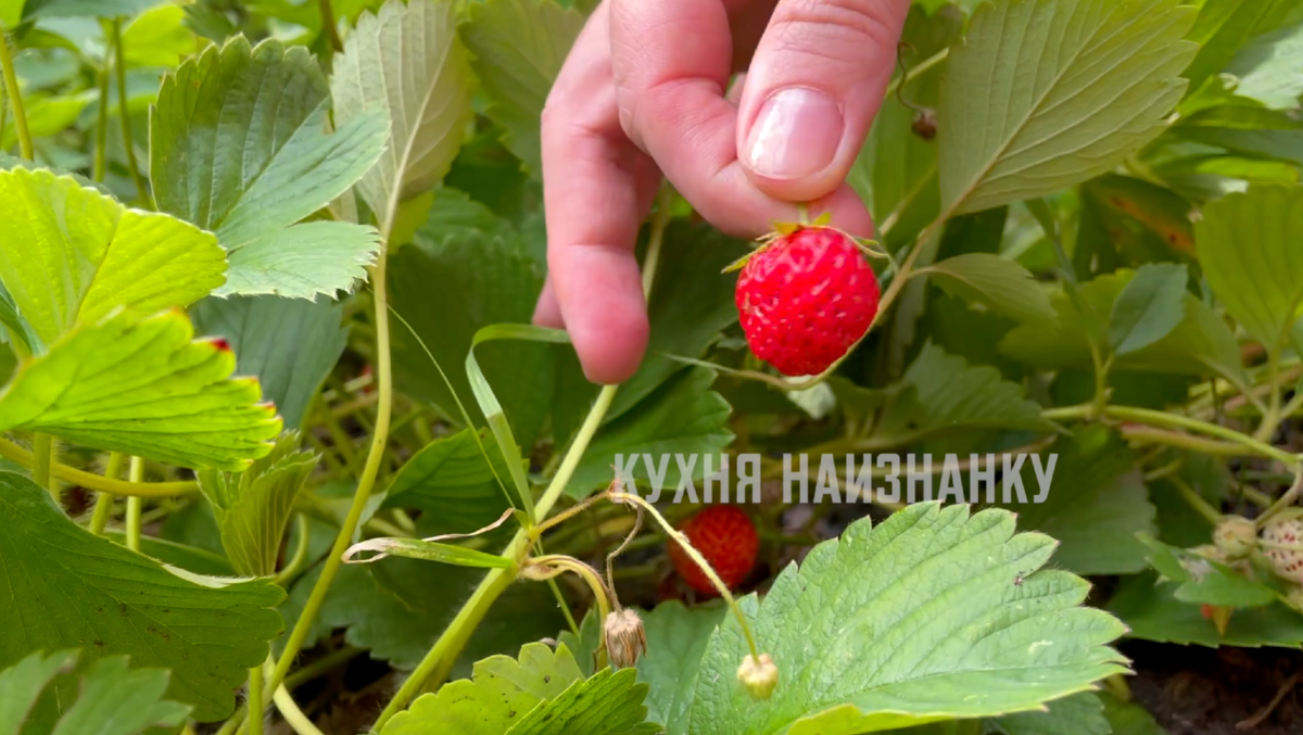 Перепробовала много рецептов, остановилась на самом простом: он и вкуснее, и времени не отнимает совсем (компот на зиму)