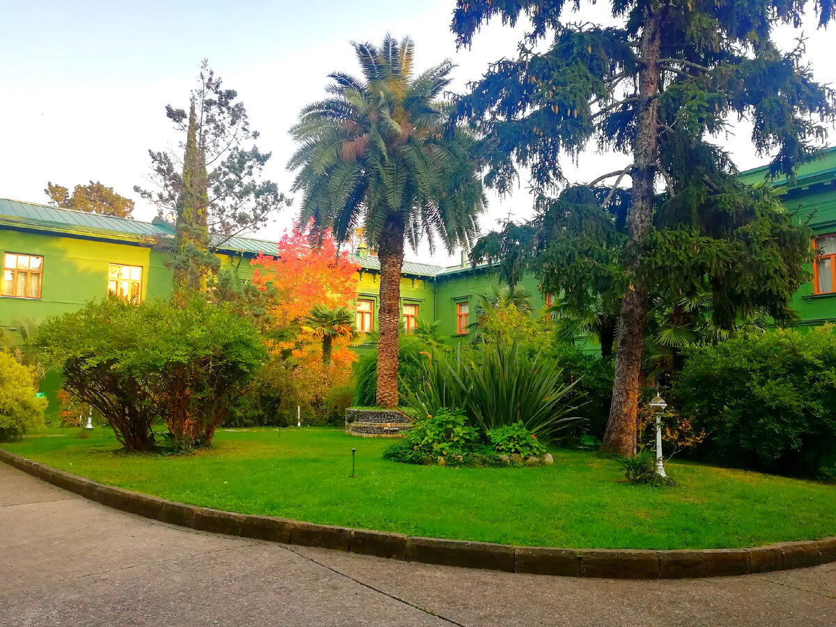 Сочи. октябрь 2019