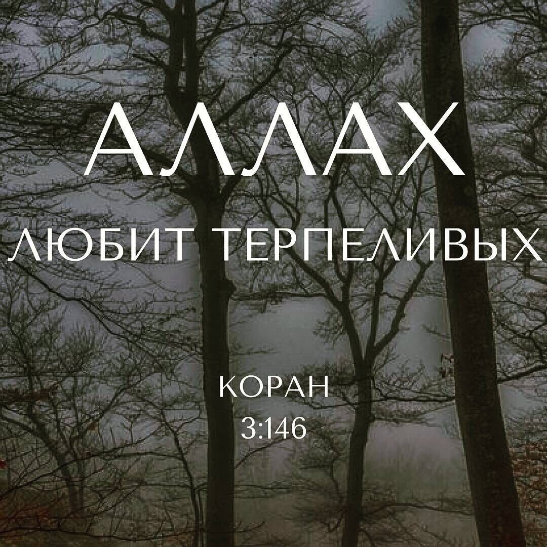аллах любит терпеливых людей. картина аллах любит терпеливых. 3 146 коран. любит терпеливых. аллах любит терпеливых людей.