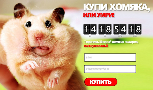 Такие заголовки писать нельзя