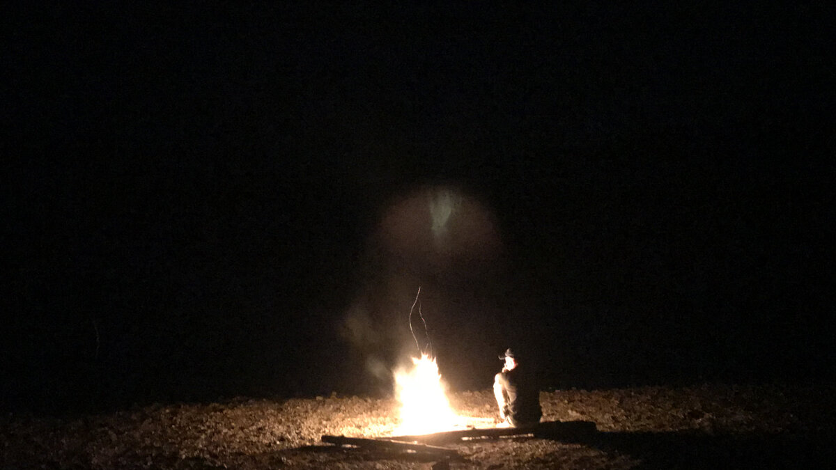 Ночь. Тайга