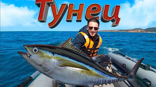 Охота на дикого тунца в России