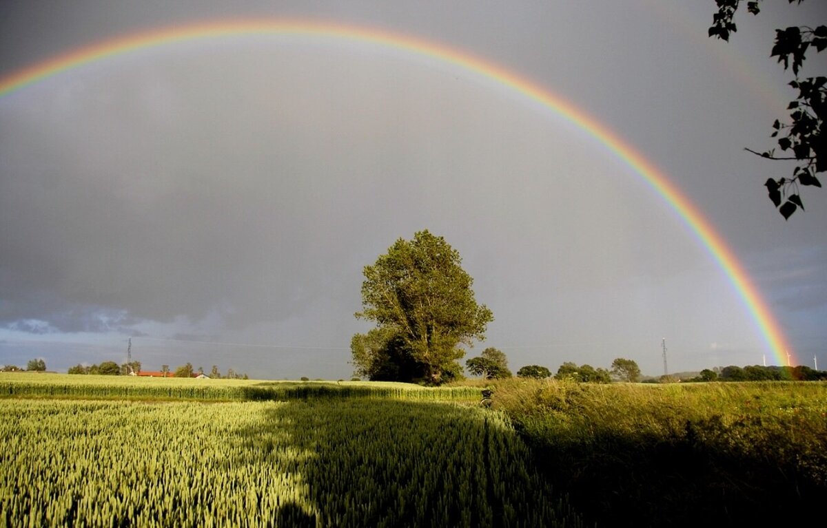    Обыкновенная радуга