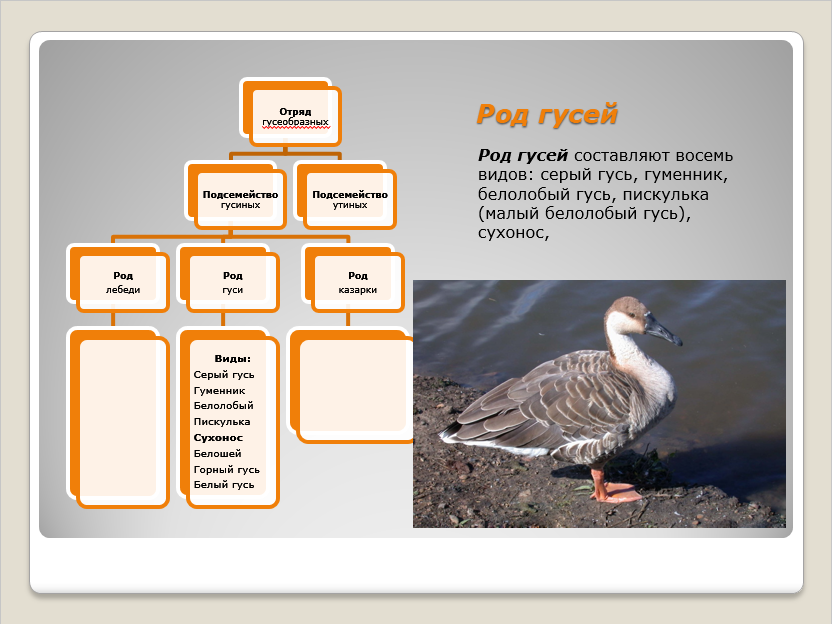 Кологривцы рассказали 