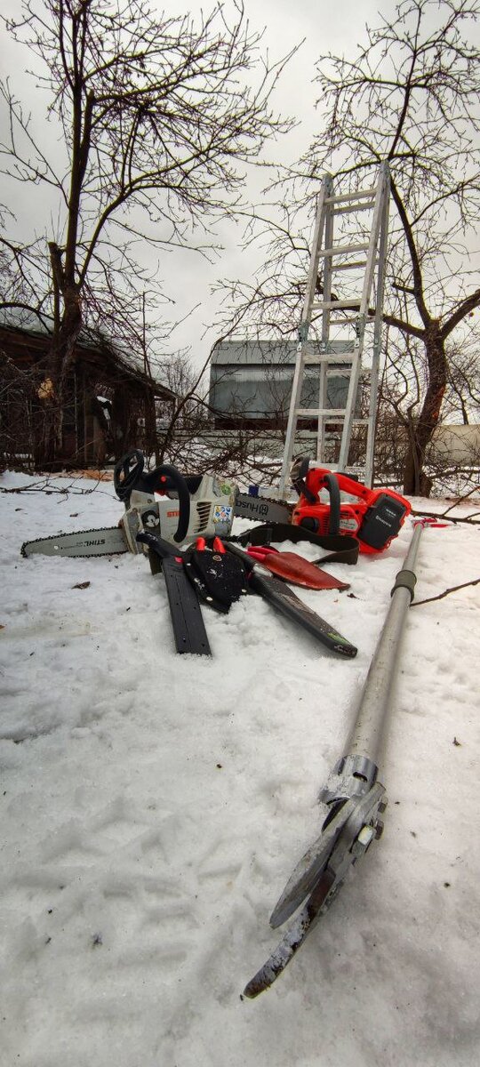 Фото с обрезки деревьев весной 2022