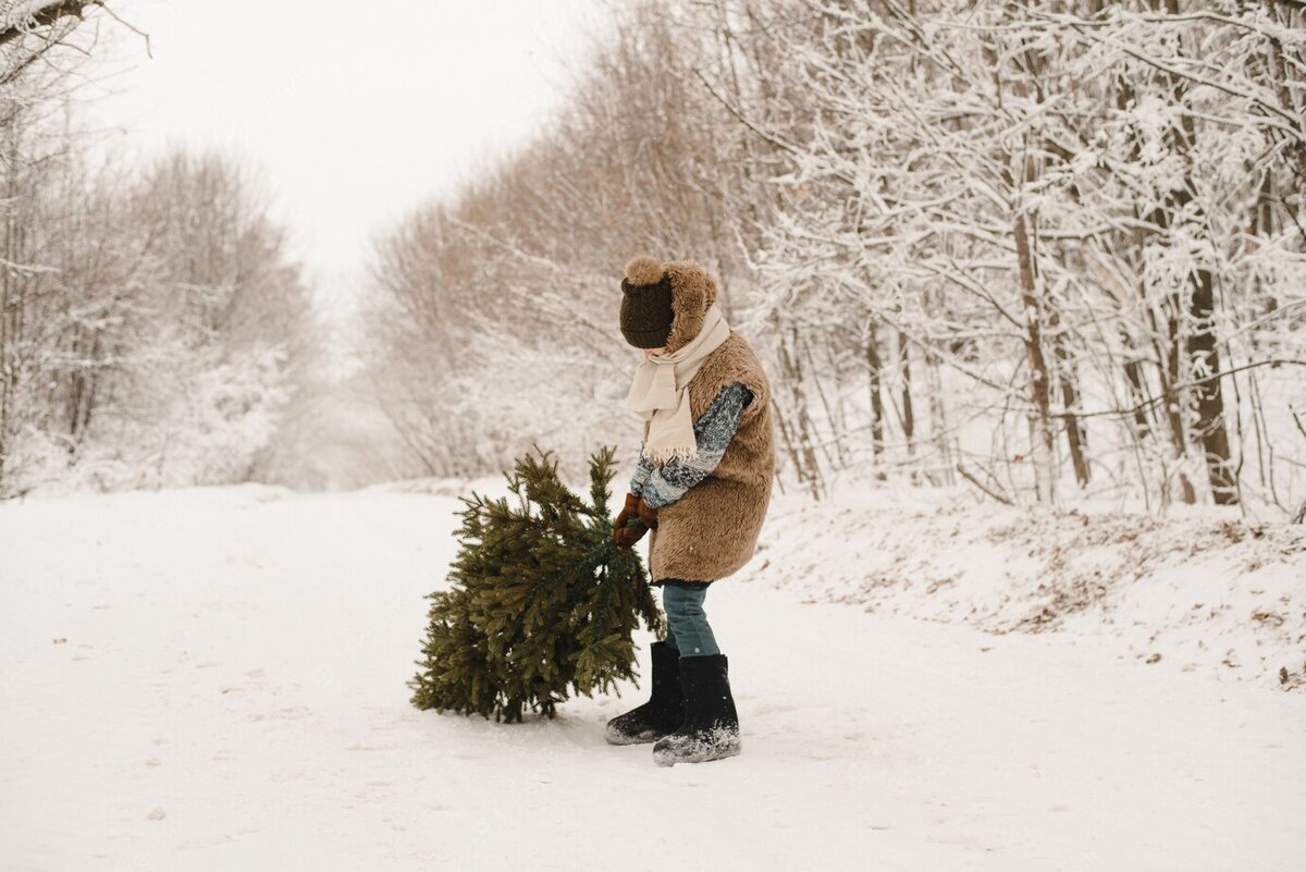 фото с сайта: https://ru.freepik.com/premium-photo/a-little-boy-carries-a-christmas-tree-in-an-elf-costume-in-a-snowy-forest-a-dwarf-in-a-fur-coat-is-dragging-a-tree-along-a-snowy-road_5915807.htm
