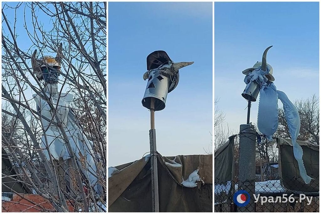    «Мы вас найдем и покараем»: житель Ащебутака образовал «приют» для собак и украсил его черепами быков в касках