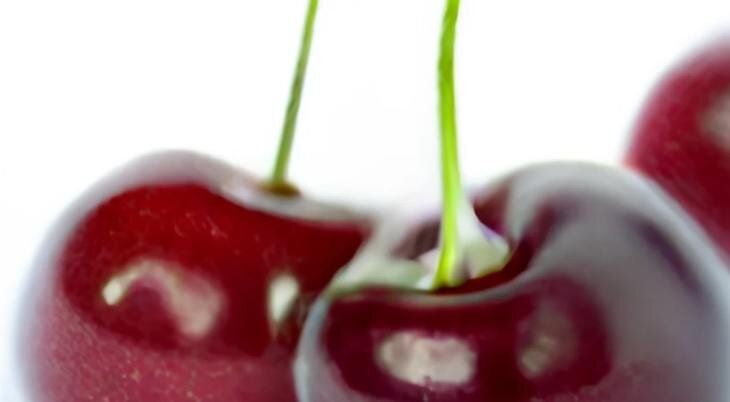    Почему у черешни скручиваются листья и меньше урожай