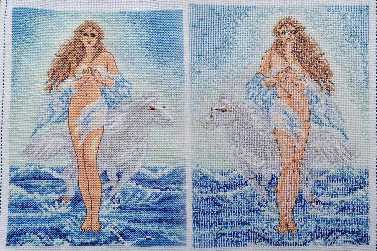 Девушка с лошадью, Искусница 