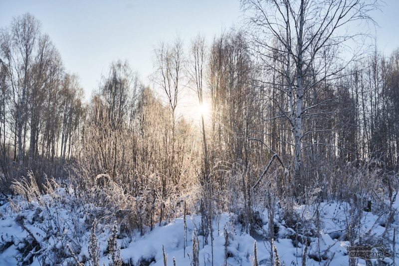    Фото Лидия Аникина © ИА «Уральский меридиан» Юлия Баталова