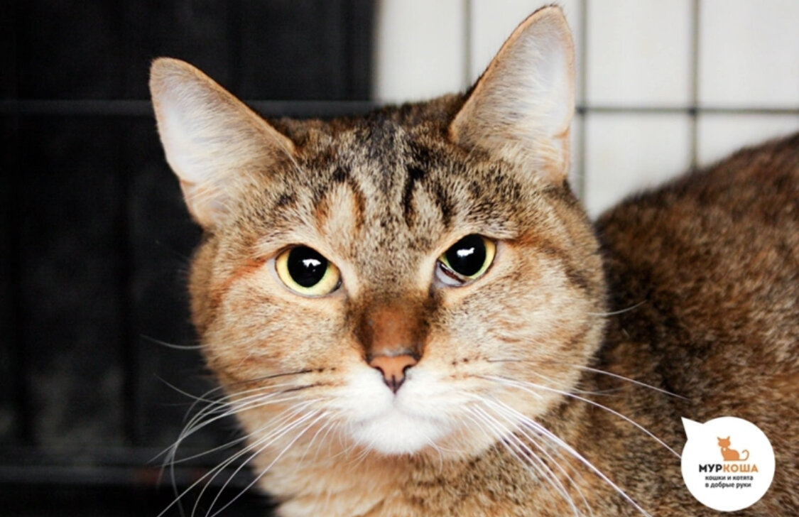 Харизматичная Фисочка, 2 года