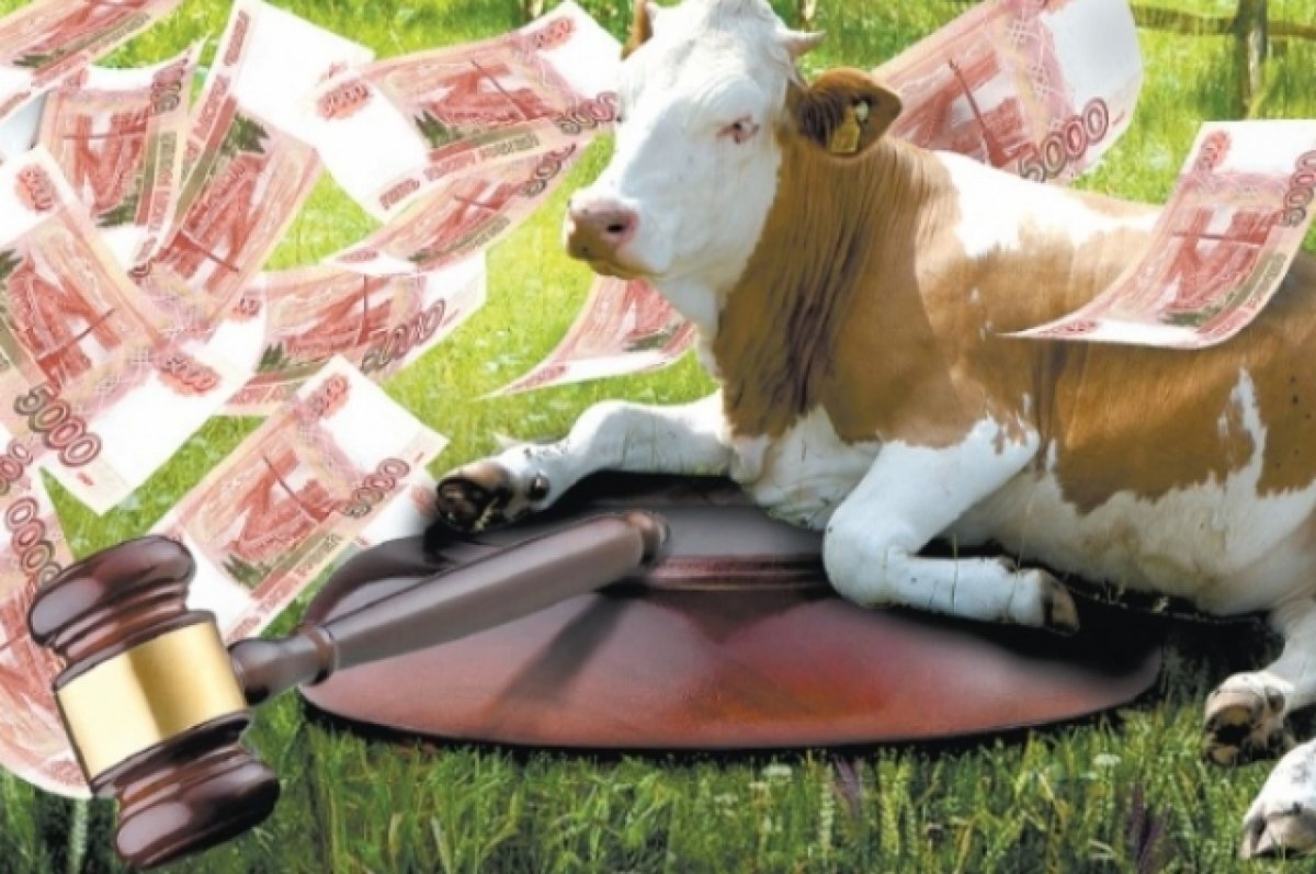    Суды выносят приговоры главам крестьянско-фермерских хозяйств за хищение чужого имущества.