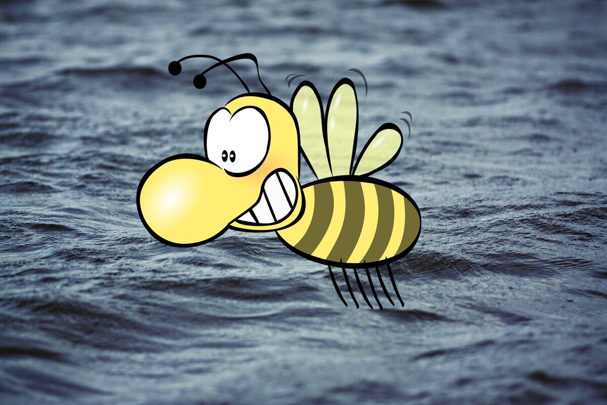 Полёты пчёл над водой