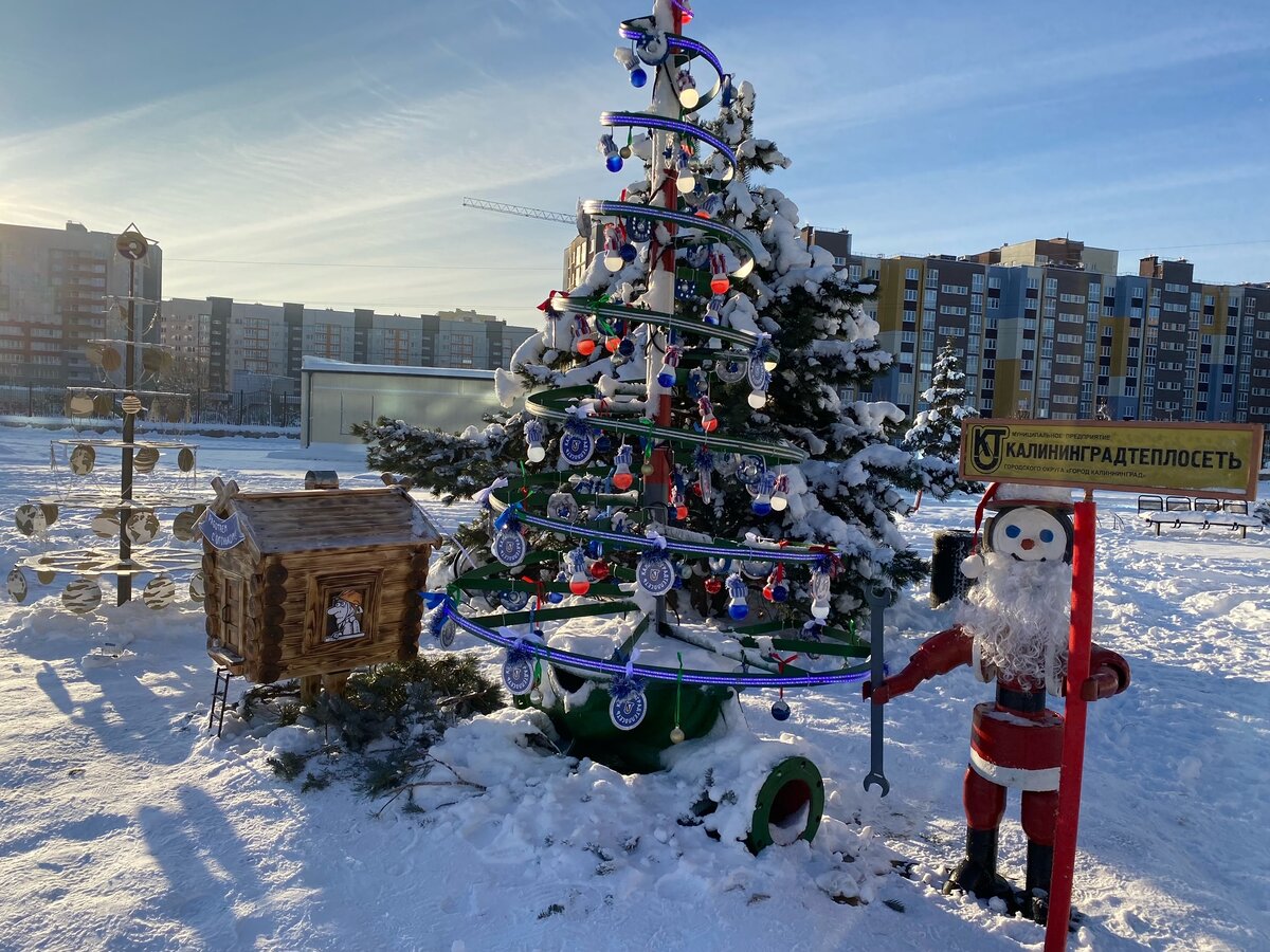   мэрия Калининграда