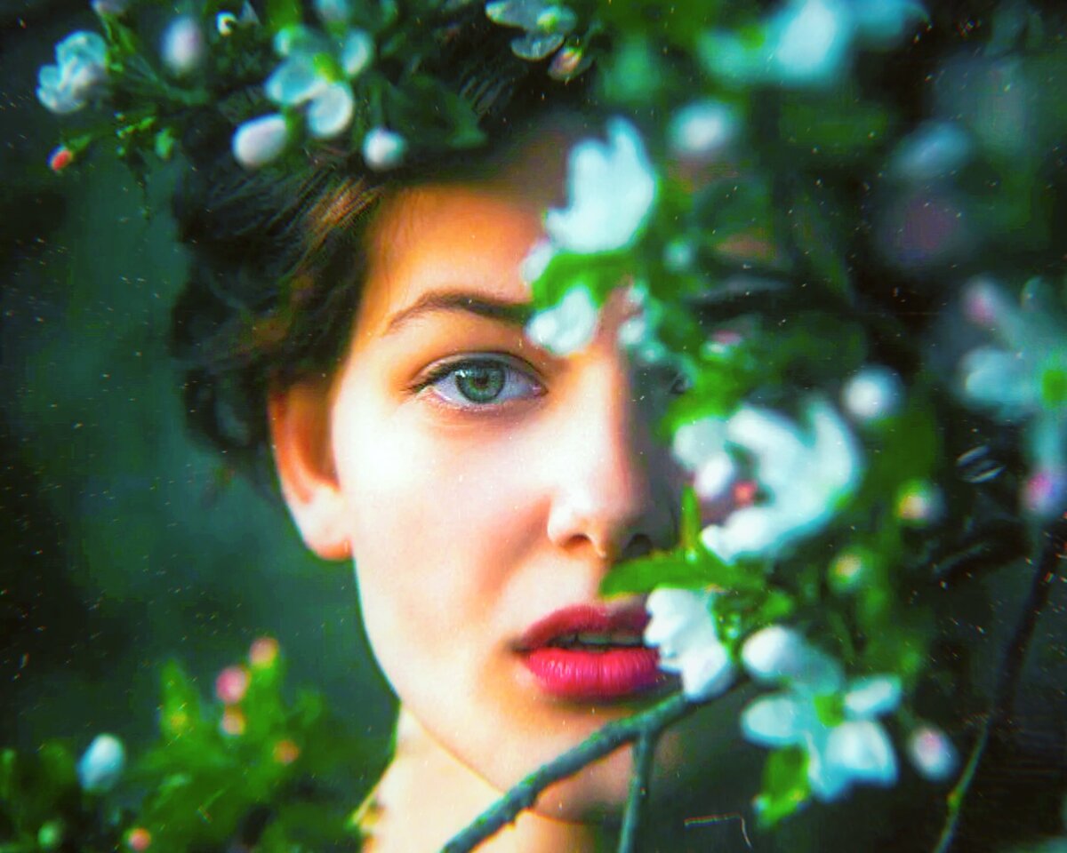 Яндекс Картинки