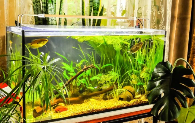 Фотография взята из источника 2sotki.ru